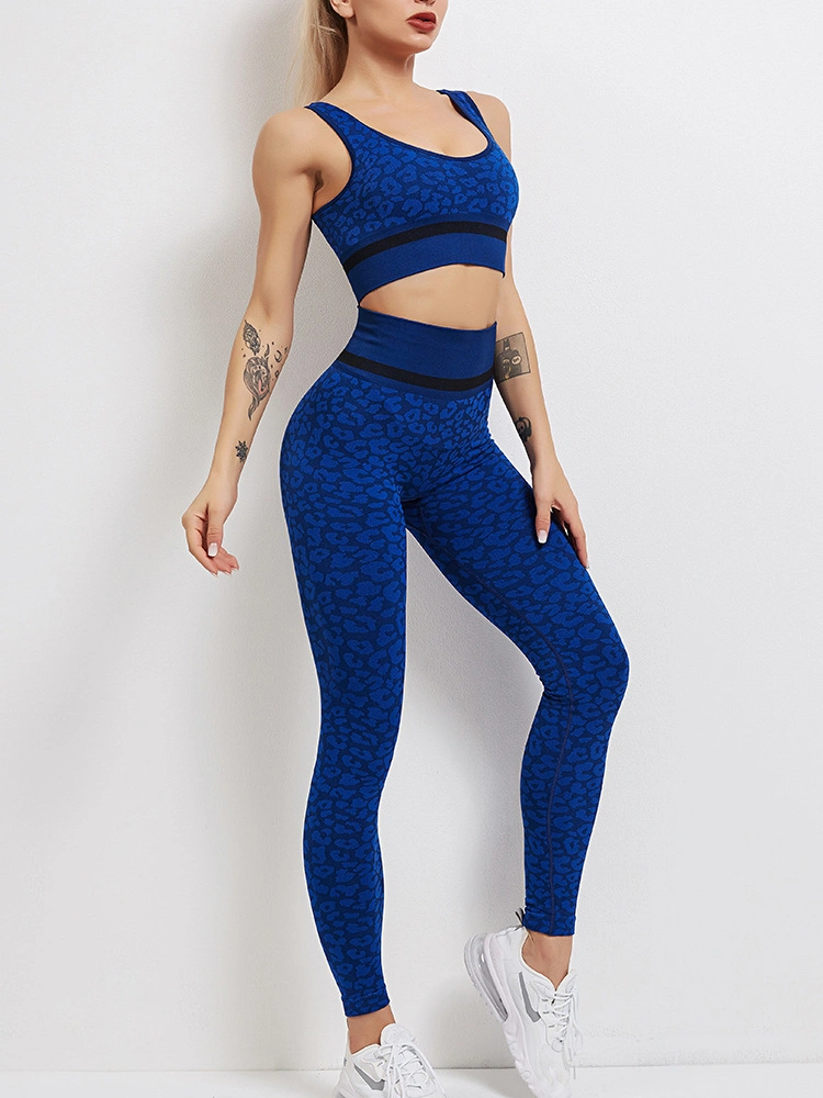 Sports Wear Customized Design Ladies Sexy Yoga Wear Clothing Set Wholesale Fitness Athletic Women Seamless Apparel