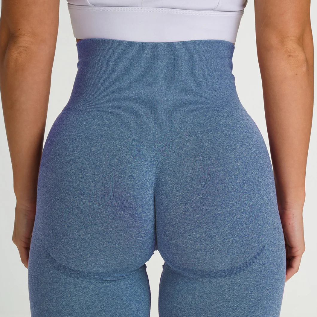 Wholesale Women Slim Seamless High Elastic Running Sport Fitness Leggings High Waist Lift HIPS Yoga Long Pants